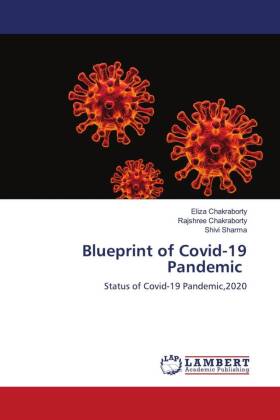 Blueprint of Covid-19 Pandemic 