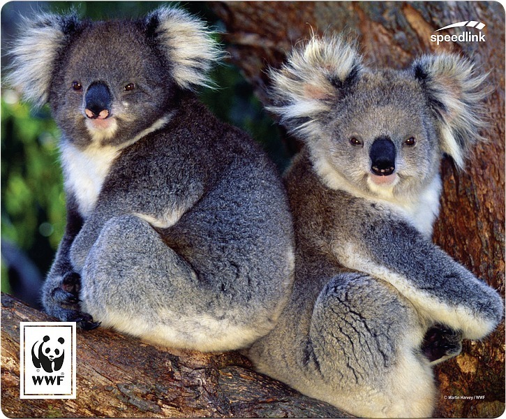 SPEEDLINK TERRA WWF Mousepad, Koala