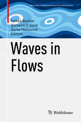 Waves in Flows 
