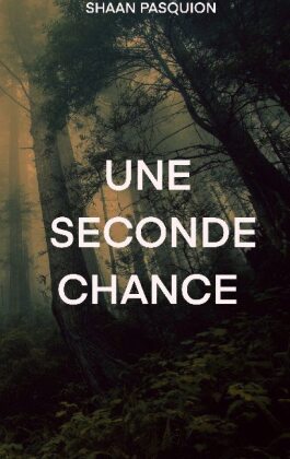Une seconde chance 