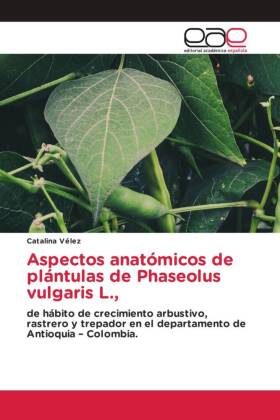 Aspectos anatómicos de plántulas de Phaseolus vulgaris L., 