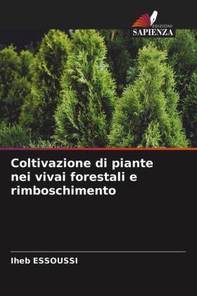 Coltivazione di piante nei vivai forestali e rimboschimento 