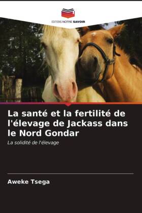 La santé et la fertilité de l'élevage de Jackass dans le Nord Gondar 