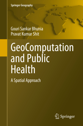 GeoComputation and Public Health 