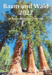 Baum und Wald 2022