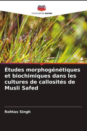 Études morphogénétiques et biochimiques dans les cultures de callosités de Musli Safed 