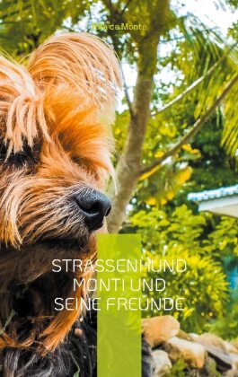 Straßenhund Monti und seine Freunde 