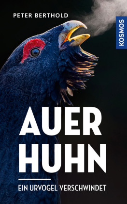 Auerhuhn 