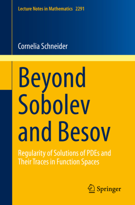 Beyond Sobolev and Besov 