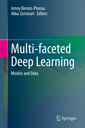 Multi-faceted Deep Learning 