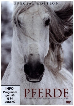 Pferde, 1 DVD 
