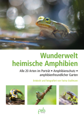 Wunderwelt heimische Amphibien Cover