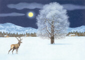 Zauberhafte Winternacht Adventskalender Cover