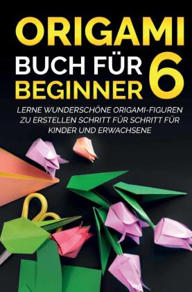 Origami Buch für Beginner 6 : Lerne wunderschöne Origami-Figuren zu erstellen Schritt für Schritt für Kinder und Erwachs 