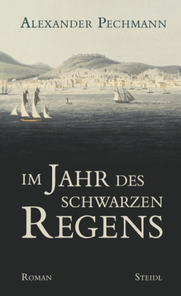 Im Jahr des schwarzen Regens 