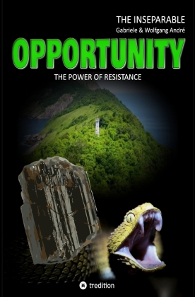OPPORTUNITY 