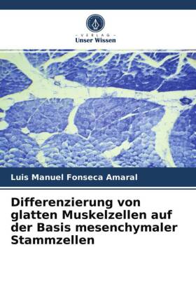 Differenzierung von glatten Muskelzellen auf der Basis mesenchymaler Stammzellen 