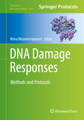 DNA Damage Responses 