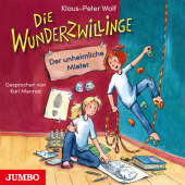 Die Wunderzwillinge und der unheimliche Mieter, Audio-CD Cover