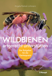Wildbienen artgerecht unterstützen Cover
