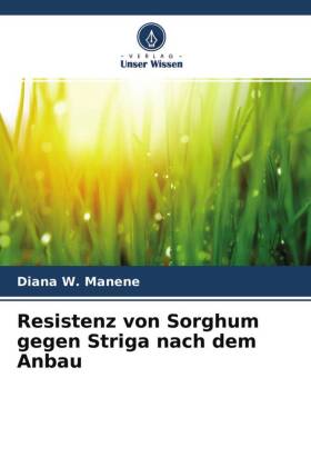Resistenz von Sorghum gegen Striga nach dem Anbau 