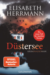 Düstersee Cover