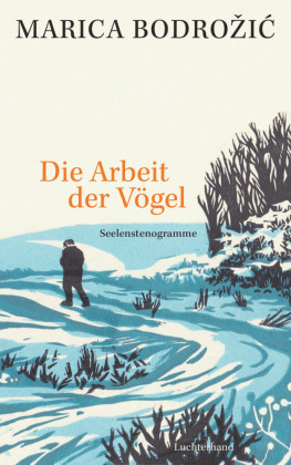 Die Arbeit der Vögel 