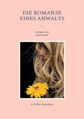 Die Romanze eines Anwalts 