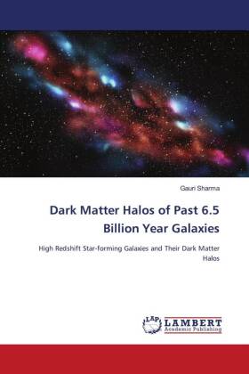 Dark Matter Halos of Past 6.5 Billion Year Galaxies 