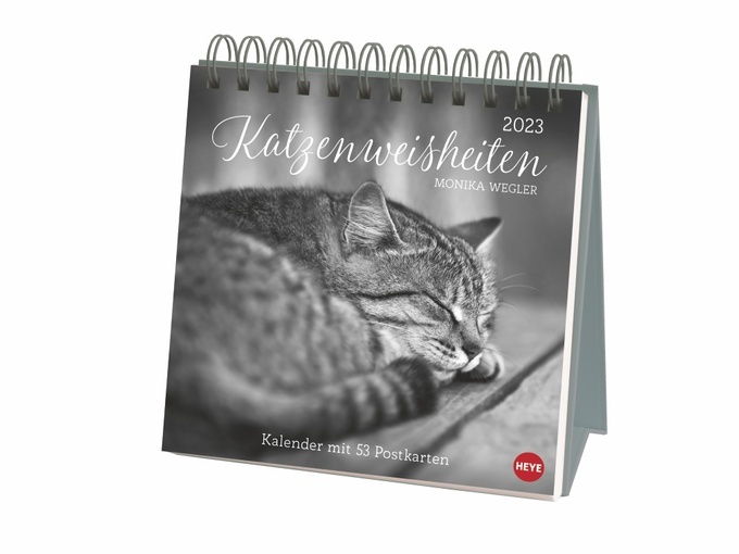 Wegler Katzen Weisheiten Premium-Postkartenkalender 2023. 53 Postkarten mit  zauberhaften Katzenfotos und Zitaten in einem kleinen Kalender für  Katzenfans. Produkt