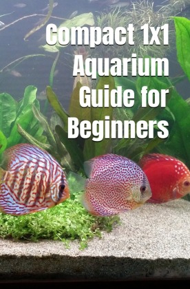 Compact 1x1 Aquarium Guide for Beginners 