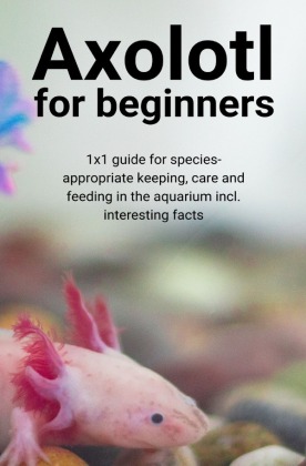 Axolotl for beginners 