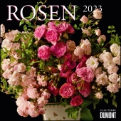 Rosen 2023 - Broschürenkalender - Format 30 x 30 cm