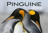 Pinguine 2023