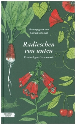 Radieschen von unten