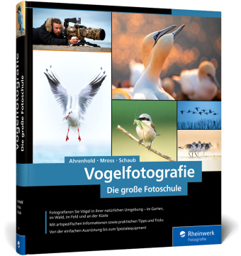 Vogelfotografie 