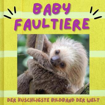 Baby Faultiere 