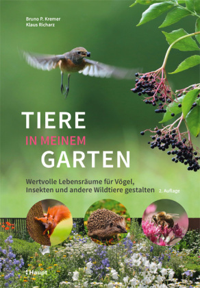 Tiere in meinem Garten 