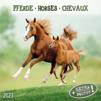 Horses/Pferde 2023