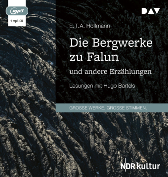 Die Bergwerke zu Falun und andere Erzählungen, 1 Audio-CD, 1 MP3