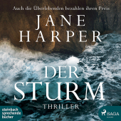 Der Sturm, 2 Audio-CD, MP3