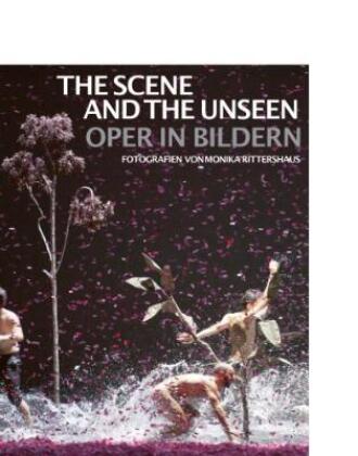 The Scene and the Unseen