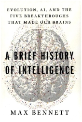 A Brief History of Brains