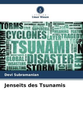 Jenseits des Tsunamis 