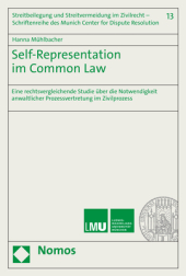 Self-Representation im Common Law