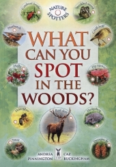 What Can You Spot in the Woods?