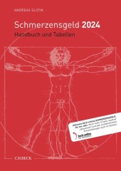 Schmerzensgeld 2024, m. 1 Buch, m. 1 Online-Zugang