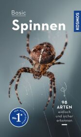 Basic Spinnen