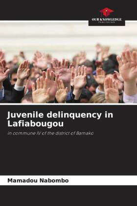 Juvenile delinquency in Lafiabougou