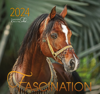 Fascination 2024, m. 1 Beilage